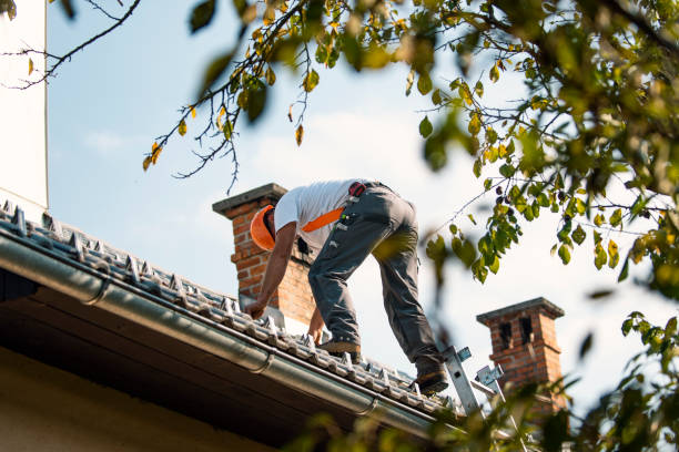 Best Metal Roofing Contractor  in Ossun, LA